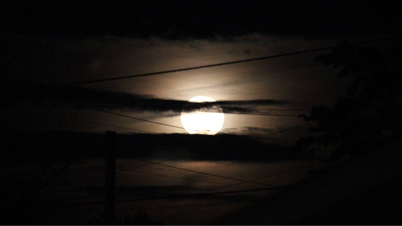 HUNTER's MOON: October's Full Moon, known as Hunter's Moon, marks preparations for winter. Native American names like Drying Rice and Falling Leaves reflect autumn, while the Celts used Seed Fall Moon. Pagans call it Blood Moon, though distinct from a lunar eclipse.
