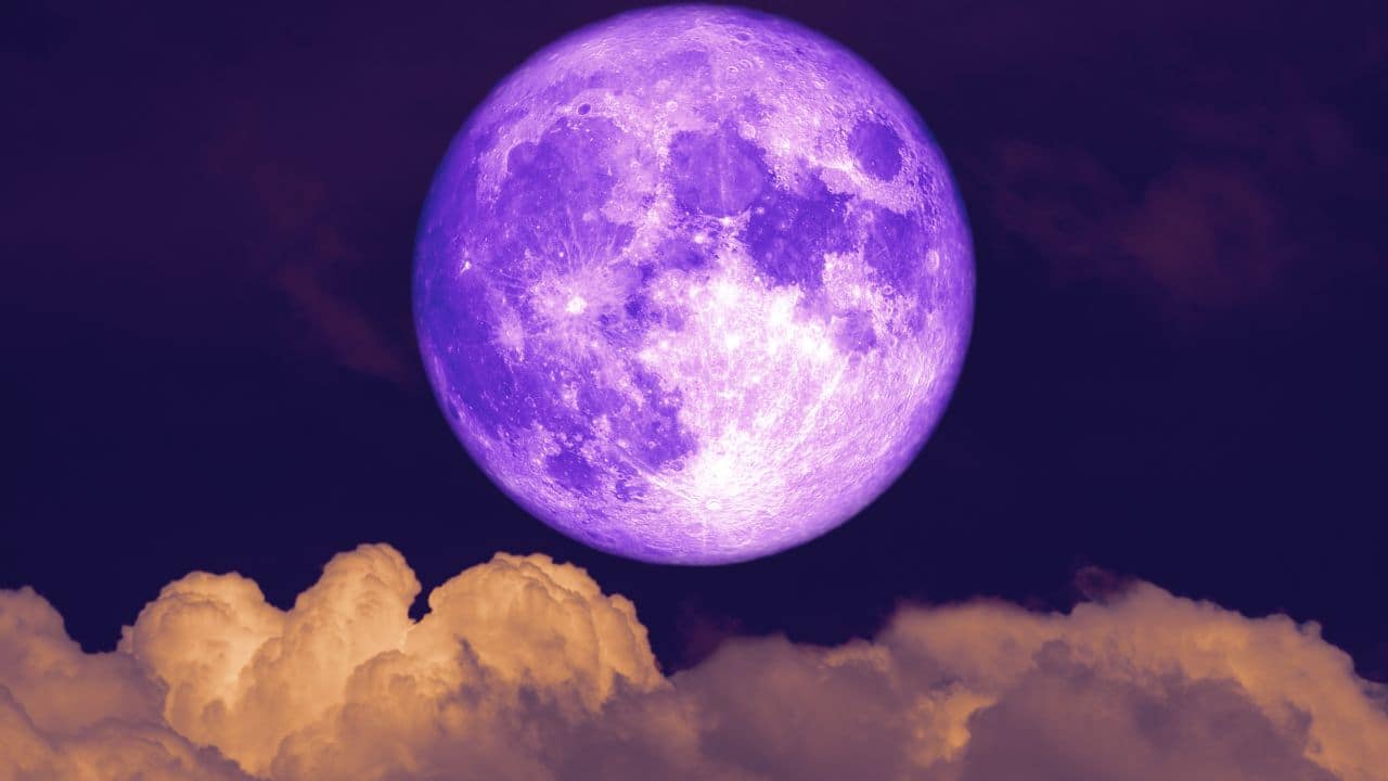 BEAVER MOON: November's Full Moon is named after beavers preparing for winter. Native Americans also referred to it as the Frost Moon or Freezing Moon. In Celtic tradition, it is known as the Mourning Moon or Darkest Depths Moon.