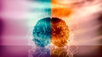 Human Brain (Image: Canva)