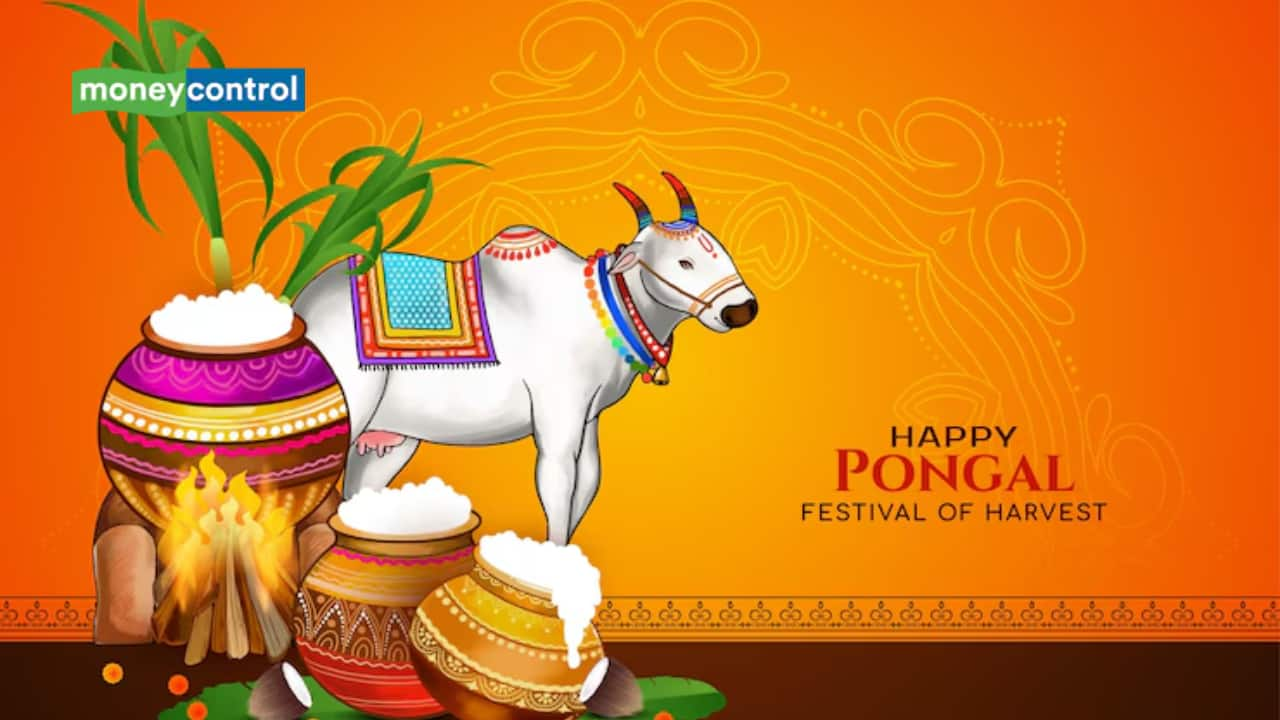 Happy Pongal 2025: 60+ Wishes, Messages, and Quotes to Celebrate Harvest