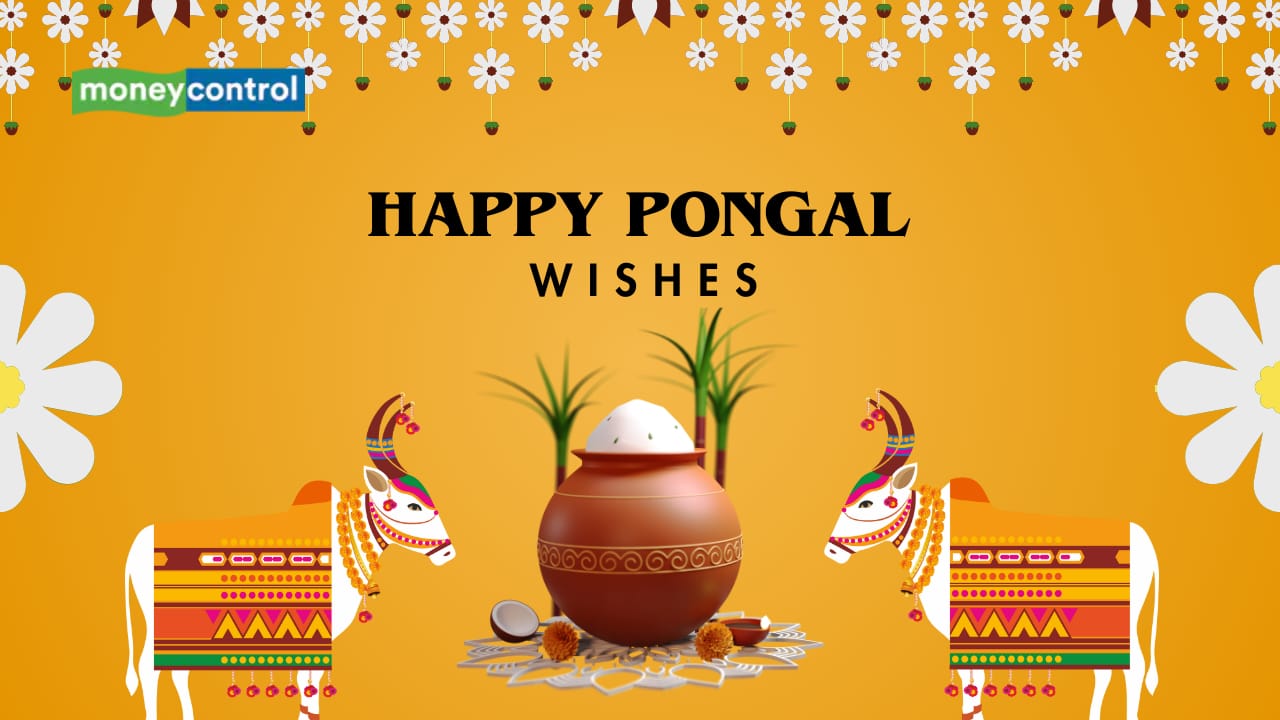 Pongal 2025: 50+ Best Greetings, Images, and Statuses for Loved Ones