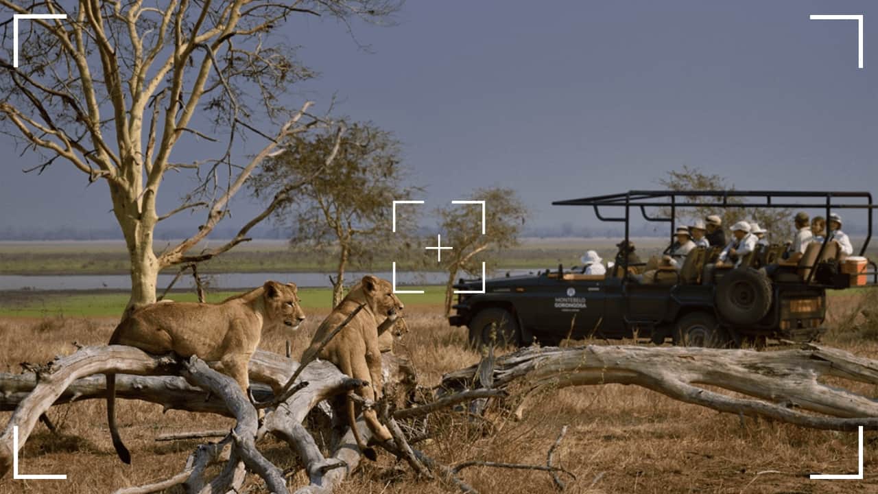 2. Gorongosa National Park, Mozambique Gorongosa National Park is one of Africa’s most biodiverse parks, offering stunning views and a wide range of animal species, including elephants, lions, zebras, and rare birdlife. Located in the central part of Mozambique, the park is a natural wonder, known for its lush forests, expansive savannas, and wetlands. It's an unspoiled paradise for wildlife photographers. Photography tip: Take advantage of the park’s varied ecosystems, from wetlands to savannas, and shoot wide-angle landscapes that capture both the animals and the dramatic backdrop. (Image: Canva)