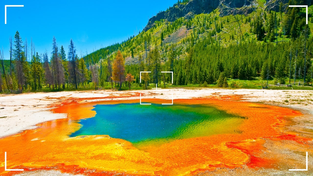 5. Yellowstone National Park, USA As the world’s first national park, Yellowstone offers incredible wildlife photography opportunities. The park is famous for its geothermal features like Old Faithful, but it’s also home to bison herds, grizzly bears, wolves, and elk. With diverse ecosystems ranging from forests to geyser basins, it’s a wonderland for photographers. Photography tip: The park’s unique geothermal features like Old Faithful provide fantastic backdrops. Golden hour light will illuminate animals against dramatic sky and landscape shots. (Image: Canva)