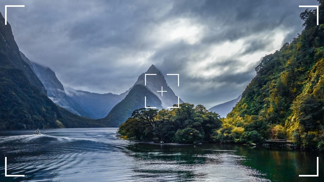 10. Fiordland National Park, New Zealand Fiordland National Park is one of New Zealand’s most dramatic and picturesque landscapes, offering rugged fjords, lush rainforests, and towering mountain ranges. Wildlife photographers will find plenty of subjects, including the endangered takahe, seals, and a variety of bird species. The park is also home to stunning landmarks like Milford Sound. Photography tip: The park’s striking landscapes, including Milford Sound, offer epic backdrops. Use a wide-angle lens to capture both wildlife and scenery in one shot, with low angles to emphasize the grandeur of the fjords. (Image: Canva)