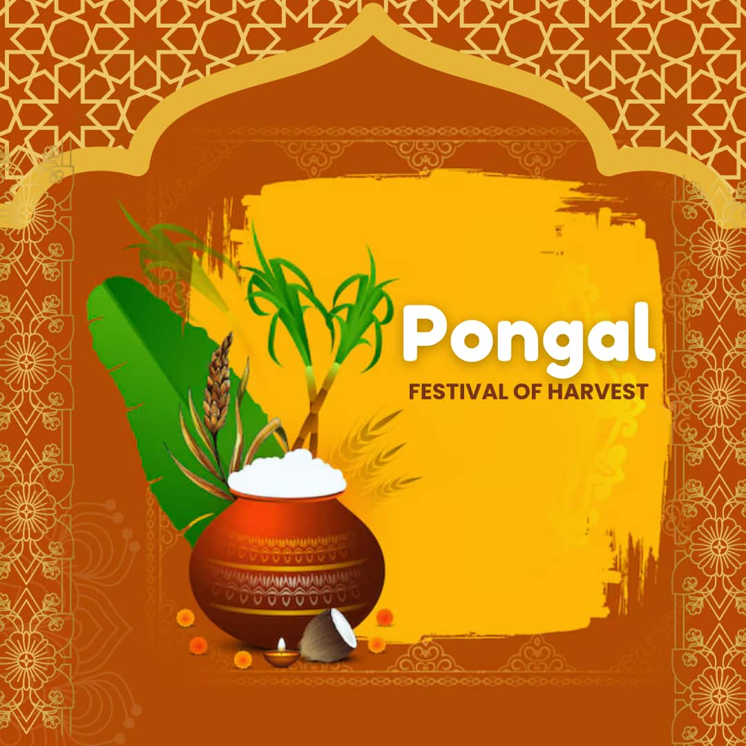 Pongal 2025 Wishes 40+ Heartfelt Quotes and Wishes for a Prosperous Celebration