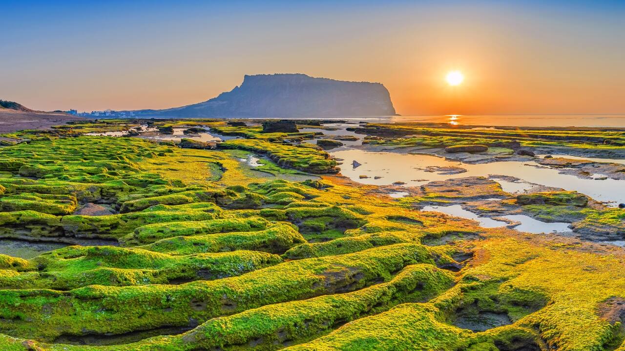 2. Jeju, South Korea Jeju Island, often described as South Korea’s paradise, is quickly becoming a must-visit destination. Famous for its volcanic craters, picturesque waterfalls, and clear beaches, Jeju is perfect for nature lovers and those seeking cultural exploration. Hike up Hallasan, a dormant volcano, or relax on beaches like Hyeopjae and Jungmun. Jeju’s mix of natural wonders and rich folklore, alongside temples and heritage sites, makes it an ideal escape for those wanting both adventure and tranquility. (Image: Canva)