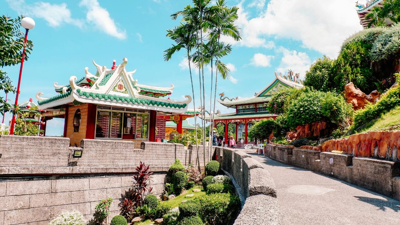 2. Cebu, Philippines Cebu is the tropical getaway that checks all the boxes for pet lovers. Whether you're strolling with your pup along pristine beaches or exploring the lively local markets, Cebu’s pet-friendly hotels and activities are the cherry on top of your dream vacation. Get ready for sun, sand, and tail wags all around! (Image: Pexels)