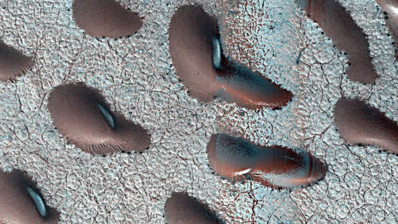 NASA's new satellite images reveal frozen 'kidney beans' on Mars, which may hold clues to water and life