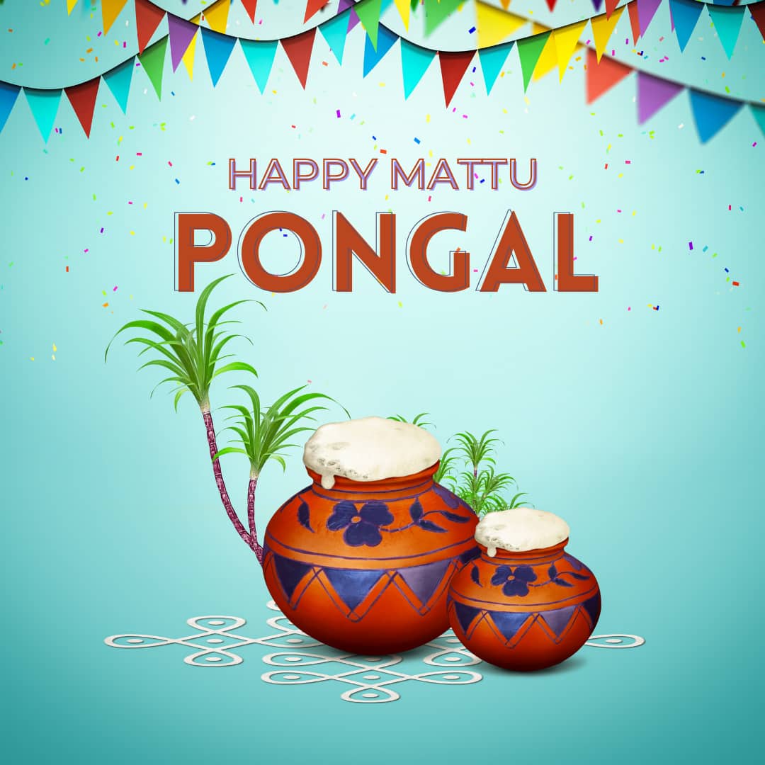 Mattu Pongal 2025 Images