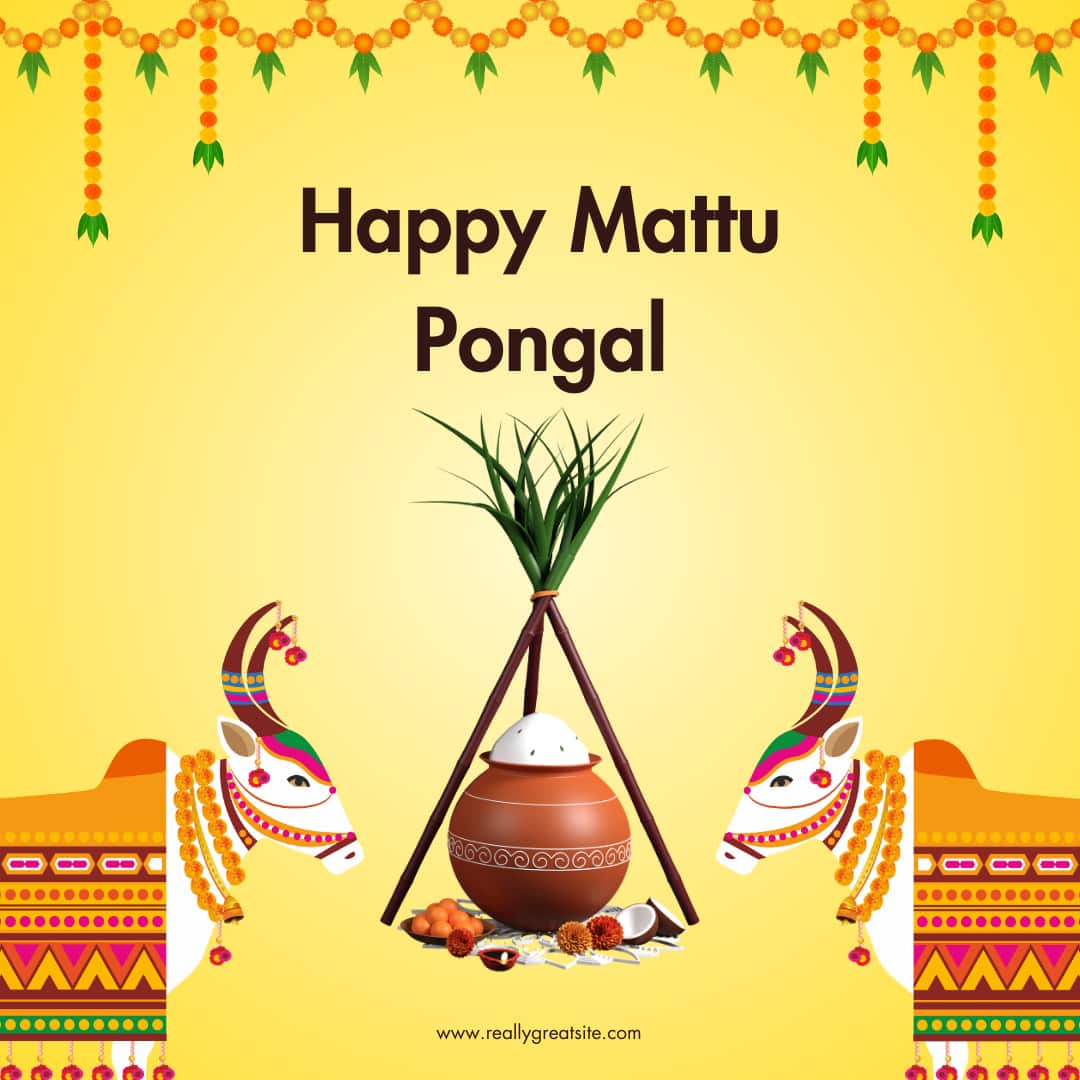 Mattu Pongal 2025 Images