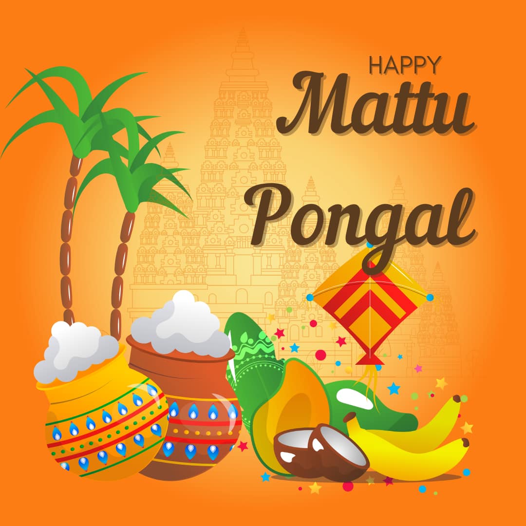 Mattu Pongal 2025 Images