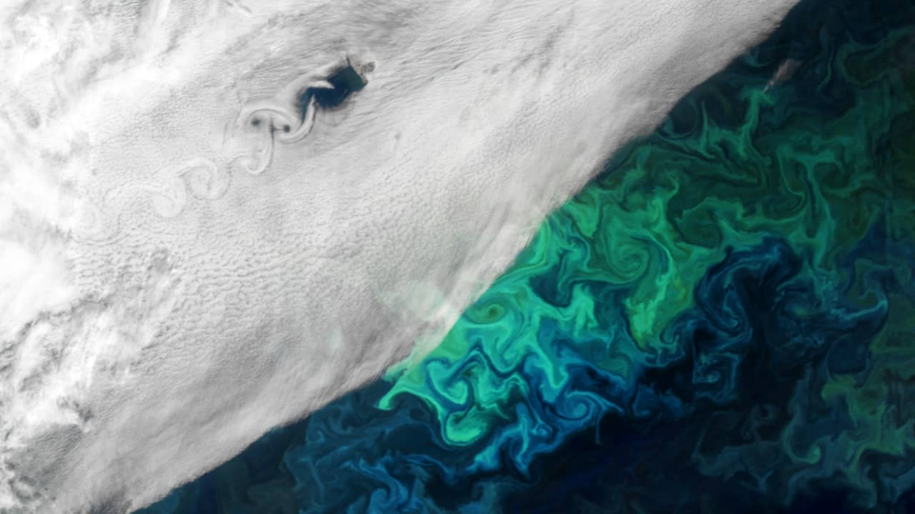 Radioactive 'Bear Island': Rare cloud swirling and ocean algal bloom captured from space