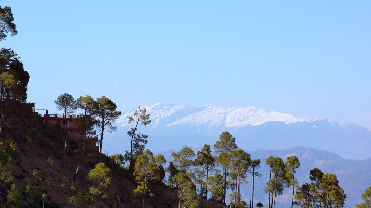 9. Kasauli: This quaint hill station, surrounded by pine forests and colonial architecture, is perfect for a relaxing weekend. Visit the Monkey Point for panoramic views, explore Gilbert Trail, and enjoy hot tea while basking in the chilly weather. (Image: Canva)