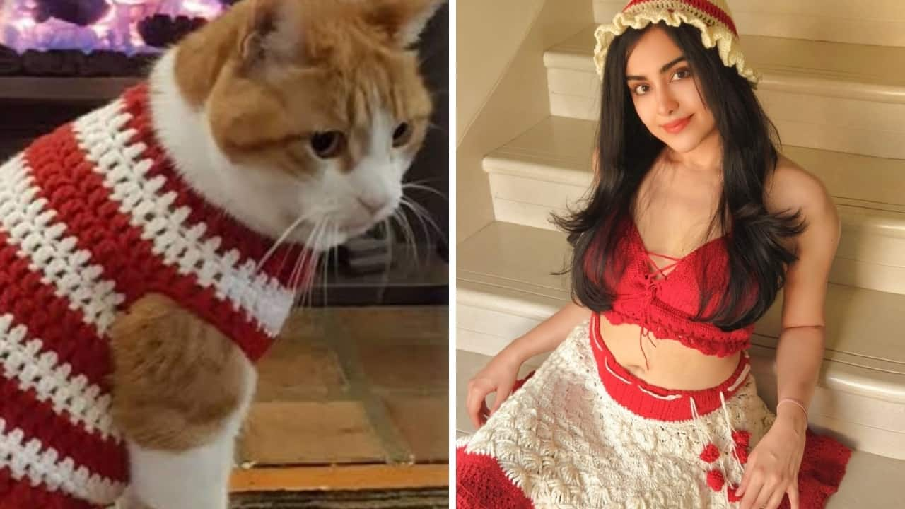 How to twin stylishly with your pet, Adah Sharma shows the way