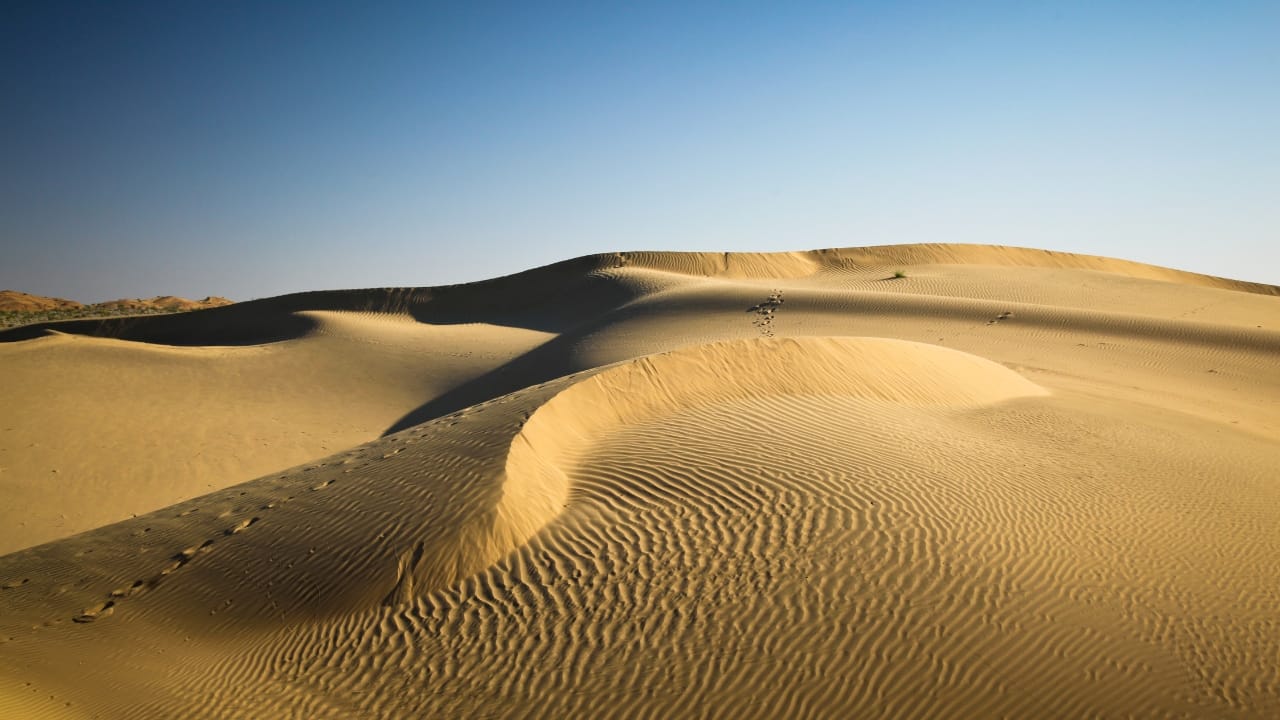 Desert National Park: Uncover the hidden gem of Rajasthan's Thar desert