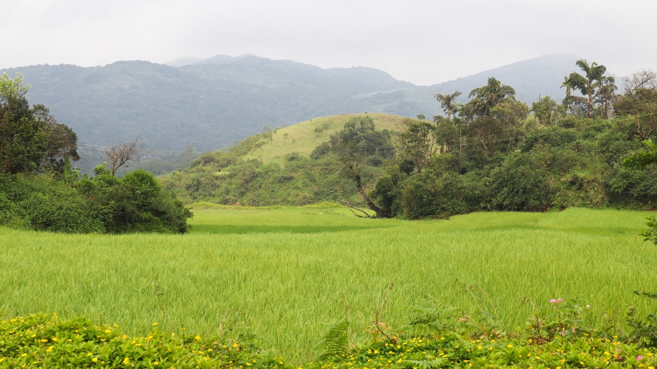 The lush green hills of Sakleshpur, a visual treat for nature lovers and photographers alike.
