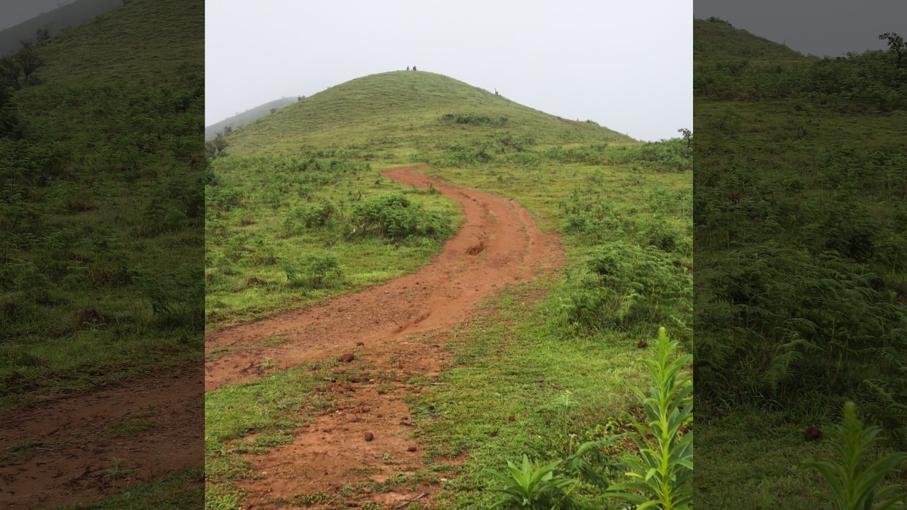 Breathtaking views from the Bisle View Point, one of Sakleshpur’s most rewarding trekking trails. (Image: Canva)