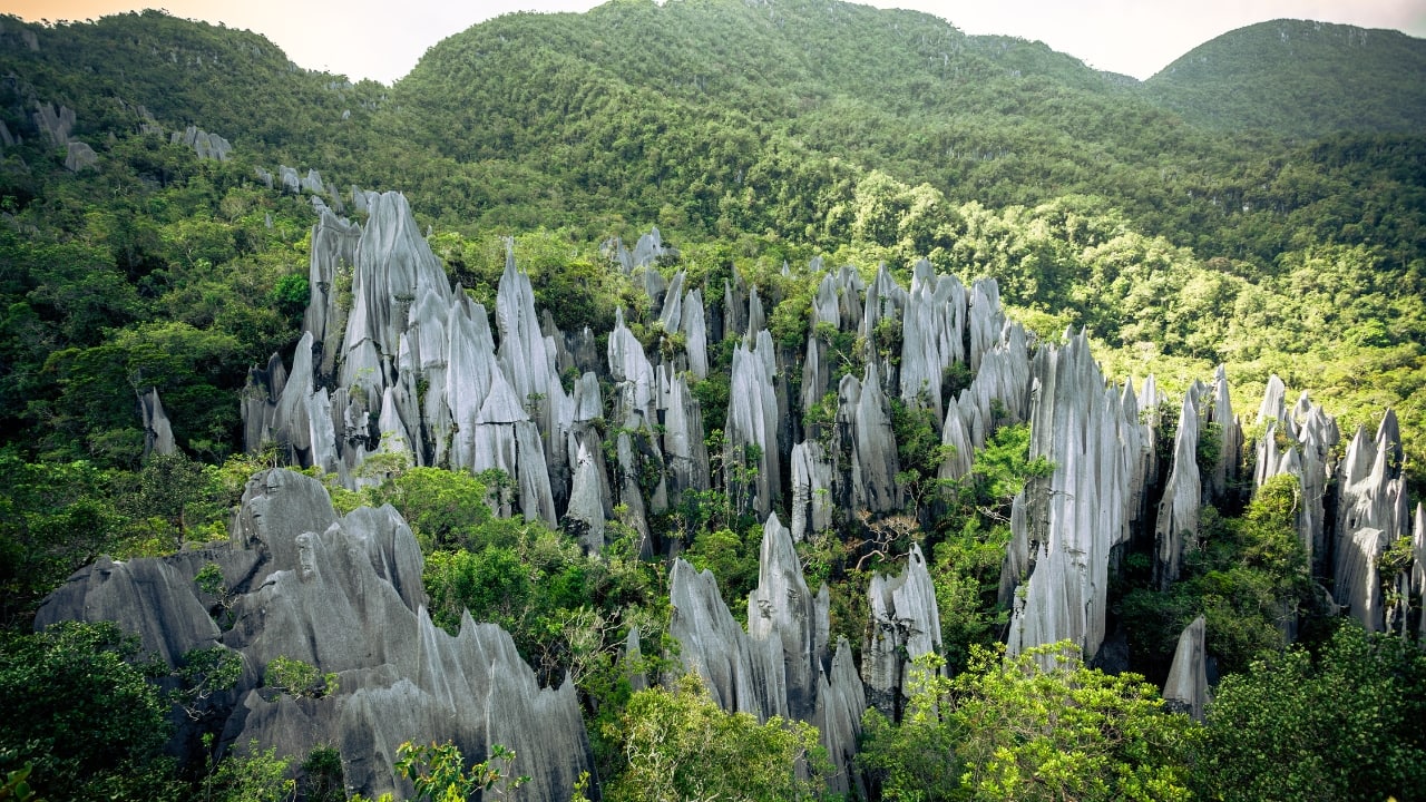 8. 砂拉越姆鲁山国家公园 姆鲁山国家公园是大自然的游乐场。这个联合国教科文组织世界遗产拥有令人惊叹的洞穴、高耸的石灰岩地层和令人难以置信的生物多样性。无论您是徒步穿越雨林、探索世界上最大的洞穴，还是观赏野生动物，姆鲁都是冒险家的梦想之地。 （图片来源：Canva）