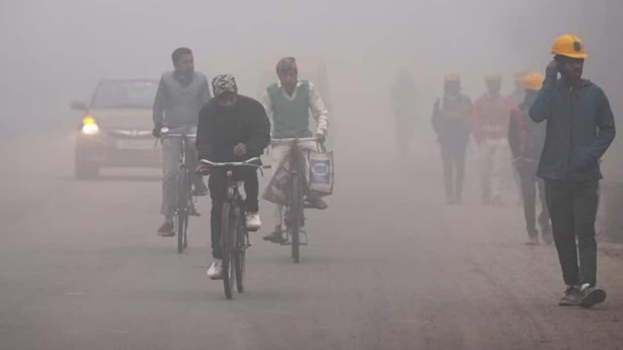 IMD weather alert: Dense fog in Delhi, UP, Punjab; cold wave in MP, Maharashtra, Karnataka till Dec 14