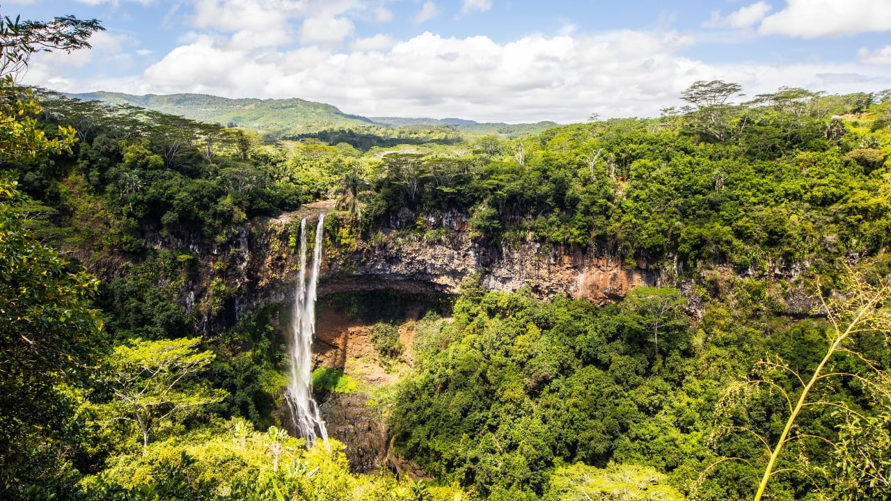 7. Explore the Hidden Waterfalls in Black River Gorges National Park If you’re looking for a more adventurous outing, head to the Black River Gorges National Park. With its cascading waterfalls, dense forests, and scenic hiking trails, this lush park offers the perfect setting for a romantic adventure amidst nature. (Image: Canva)