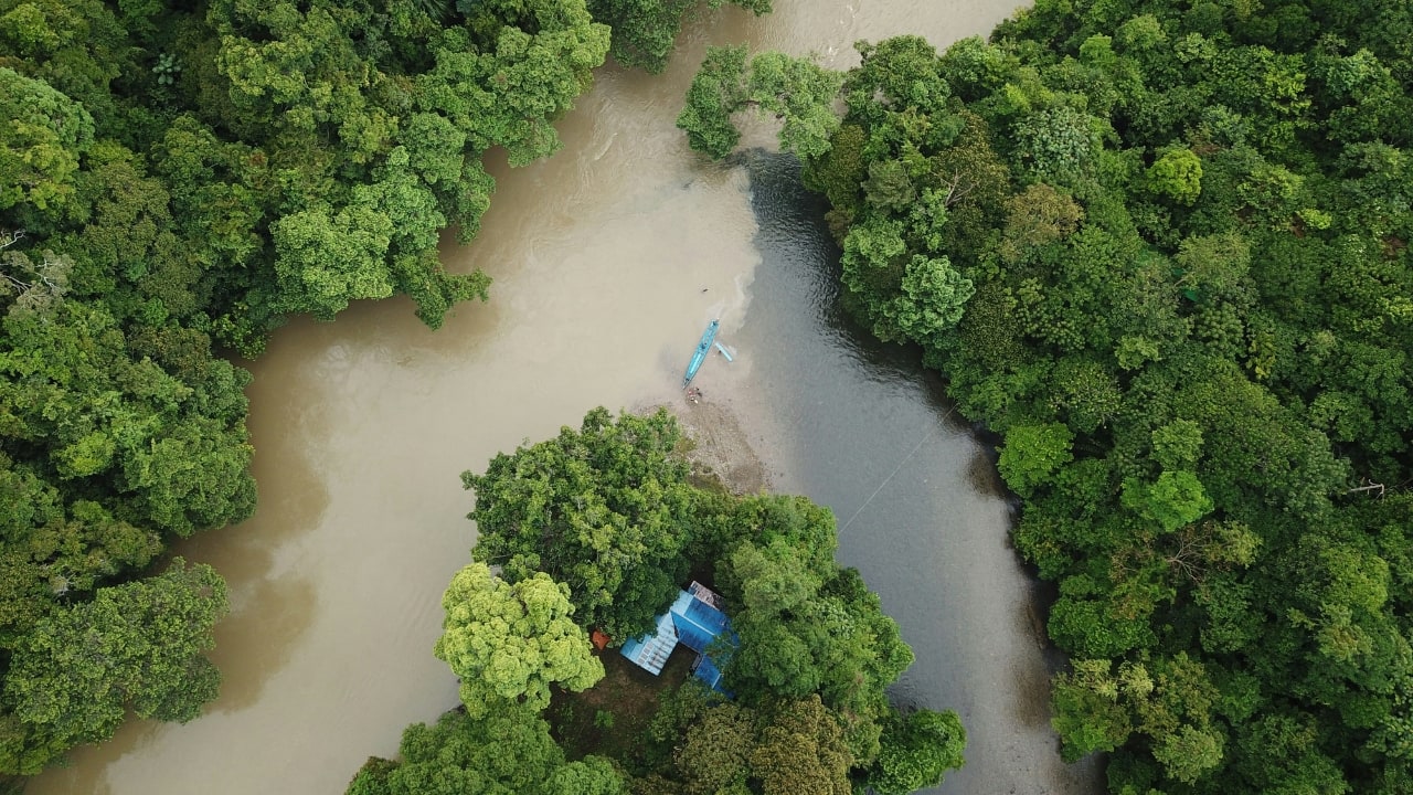 2. Venture Into Borneo's Wild Side Borneo is nature's wonderland, bursting with wildlife and lush jungles. See orangutans in the wild, dive into crystal-clear waters, and hike through untamed rainforests—an adventure for every nature lover. Visit the UNESCO-listed Kinabalu National Park, home to Malaysia's highest peak, and discover the island’s hidden caves and rare flora. (Image: Unsplash)