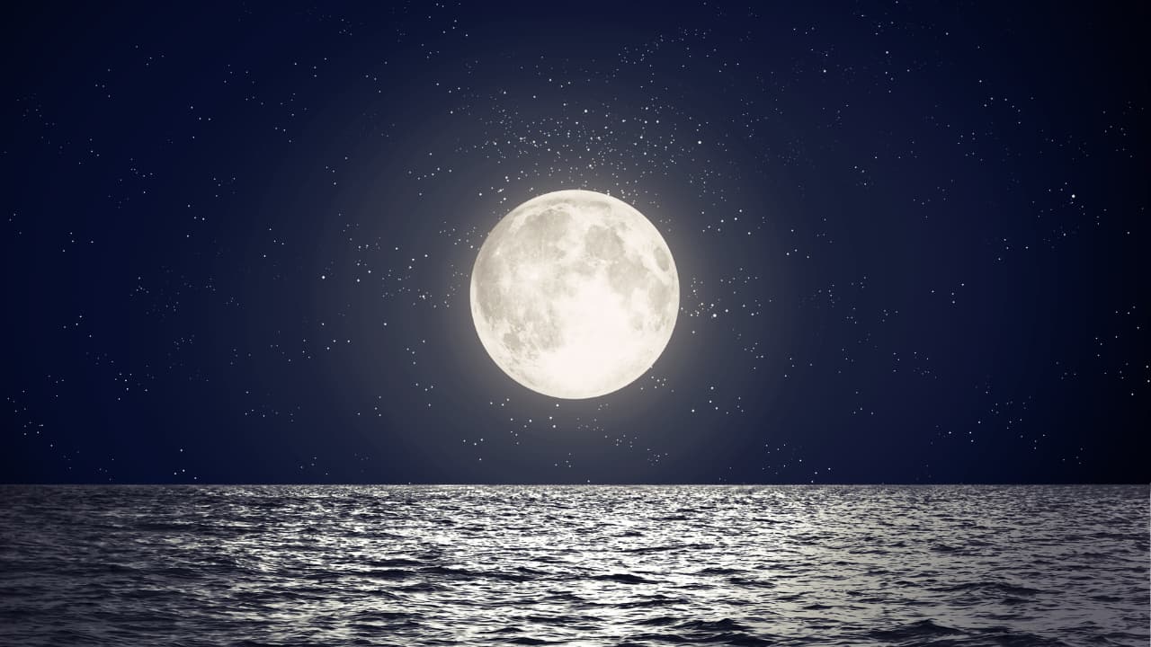 'Moon at risk of huge damage': Earth's natural satellite added to endangered heritage list; here's why