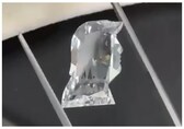 Surat businessman creates lab-grown diamond replica of Donald Trump