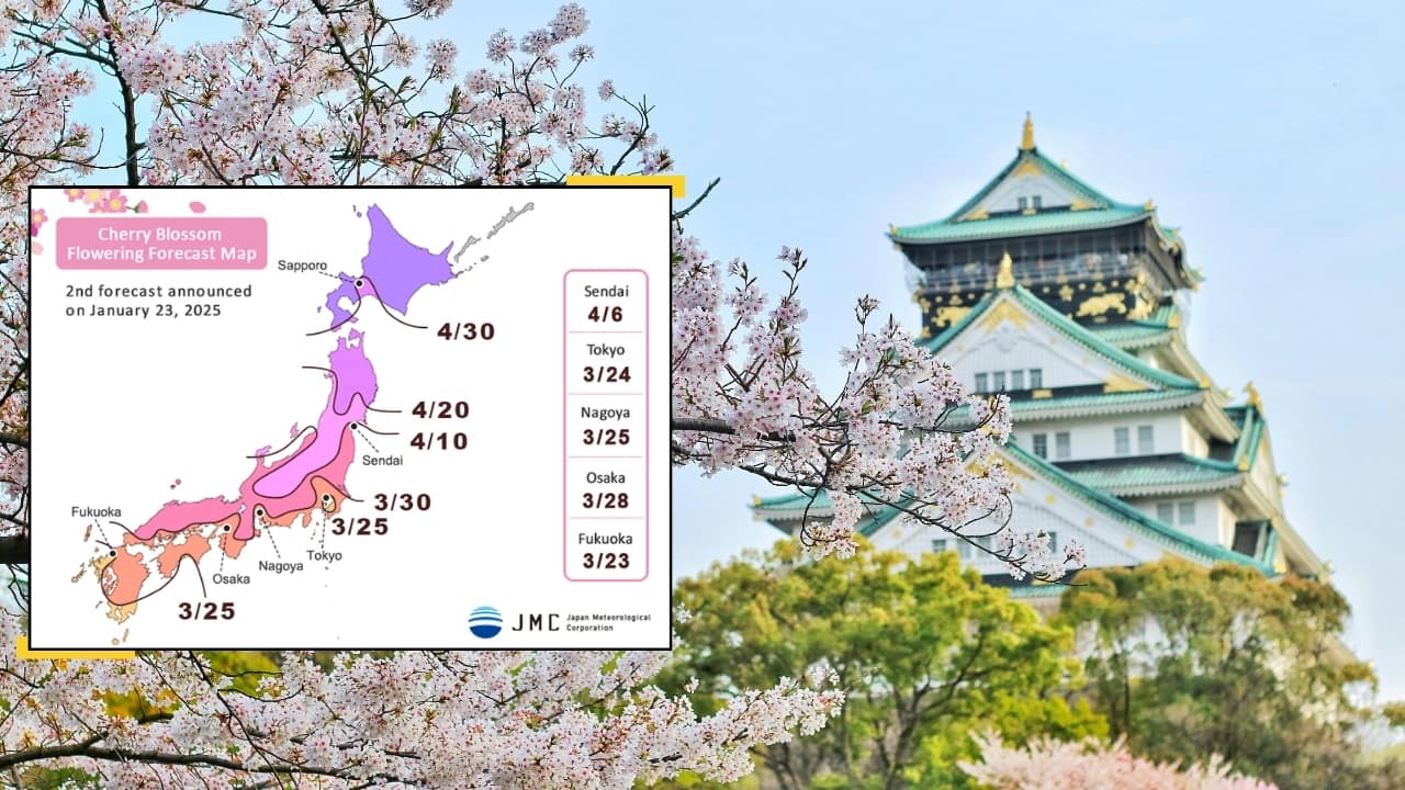 Cherry Blossom Forecast 2025: Japan Meteorological Corporation predicts peak sakura bloom dates across the country, from Fukuoka to Sapporo