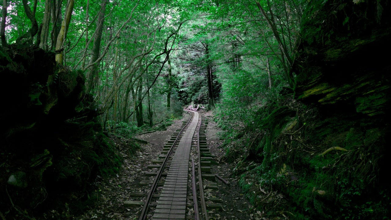 8. Yakushima: An Island of Mystical Forests Yakushima, a UNESCO World Heritage site, is famous for its ancient cedar forests, some of which are over 1,000 years old. The island’s hiking trails take you through moss-covered landscapes, crystal-clear streams, and towering trees that seem to be straight out of a fairytale. This otherworldly place inspired Studio Ghibli’s Princess Mononoke and offers a truly unique experience for adventurers and nature lovers alike. (Image: Canva)