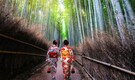 10 hidden gems in Japan you must explore
