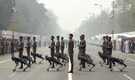 Meet 'Sanjay': Indian Army's robotic dog that debuted at Republic Day Parade in Kolkata