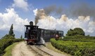 5 Most Beautiful Toy Train Rides in India You Must Take Once
