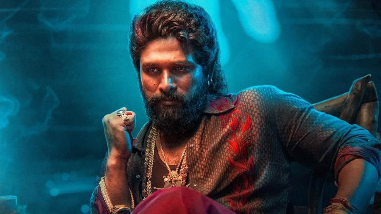 Pushpa 2: The Rule’s climax stuns global audiences, sparks mixed reactions