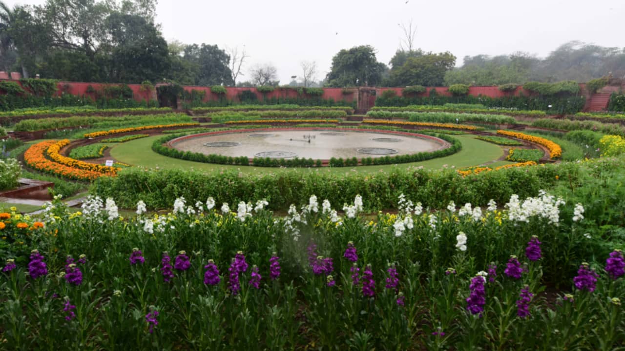 From Amrit Udyan to Surajkund Mela: 4 Must-Visit Events in Delhi NCR This February 2025