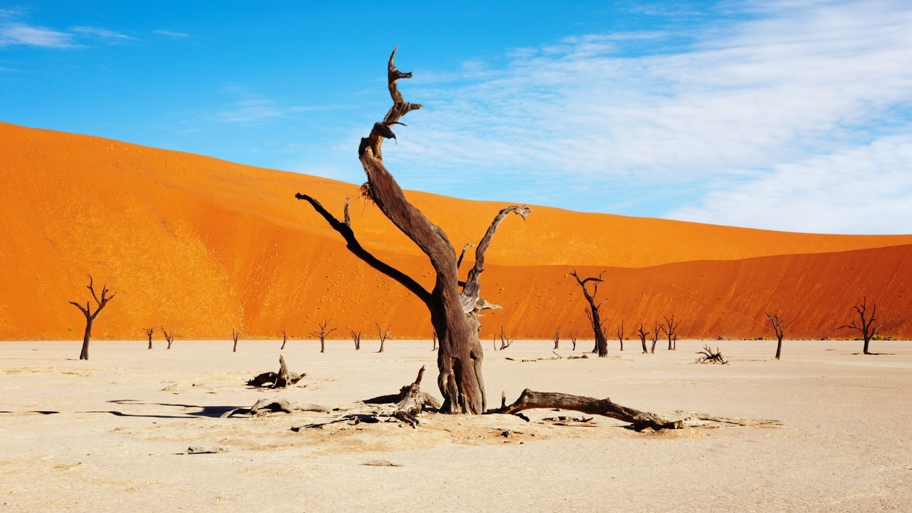 6. The Namib Desert, Namibia Stretching endlessly with its striking orange dunes, the Namib Desert offers an otherworldly escape from the modern world. Activities like dune climbing and wildlife safaris will immerse you in nature’s raw beauty. (Image: Canva)