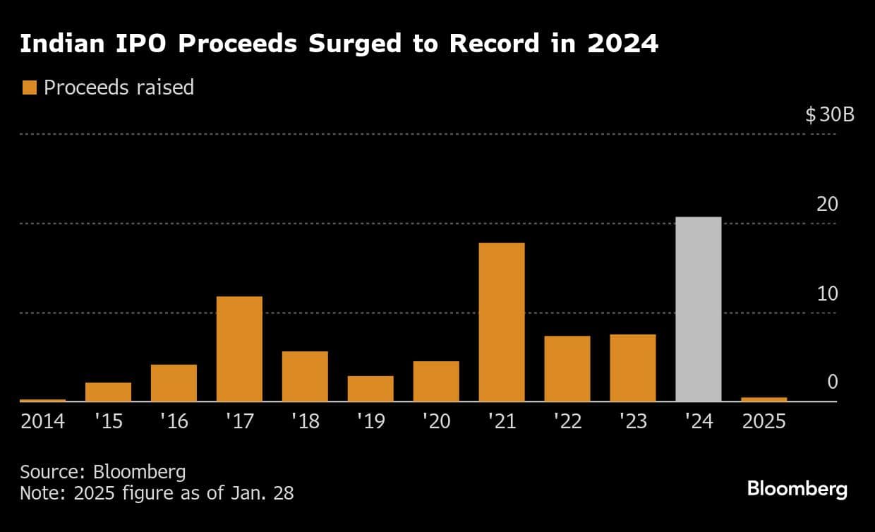 Indian IPO Proceeds Surged to Record in 2024
