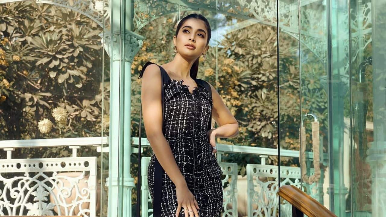 Pooja Hegde talks about her journey in the industry, says it was 'full of ups and downs' - Exclusive