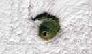 'Nature's ticking time bomb': Italy’s most 'dangerous volcano' peers through a mysterious cloud hole from space