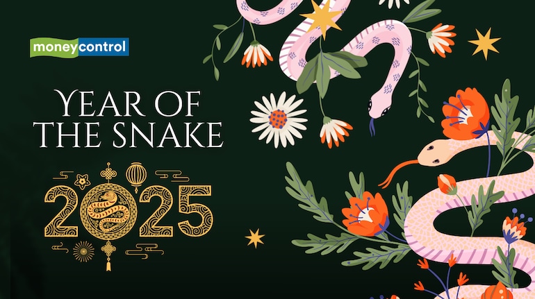 Year of the Snake 2025 How the Chinese lunar calendar works and its