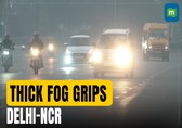 Delhi Faces Thick Fog As AQI Rises; Rain Predicted On Feb 3