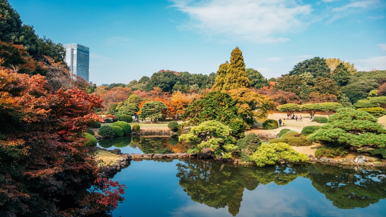7. Shinjuku Gyoen (Tokyo) An oasis in the heart of Tokyo, Shinjuku Gyoen blends Japanese, English, and French garden styles. Whether you visit during cherry blossom season or in the fiery hues of autumn, it’s a must-see for travelers exploring the capital. (Image: Canva)
