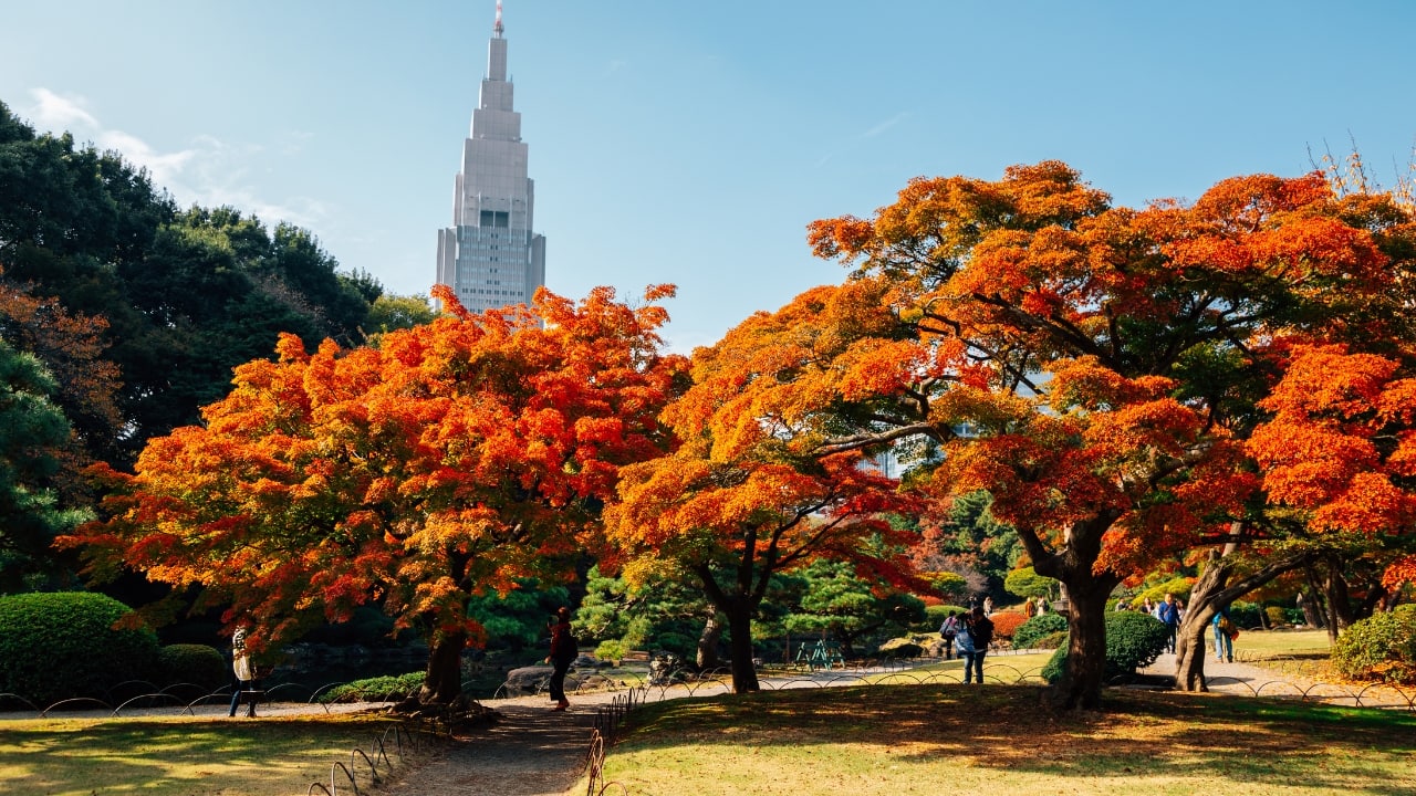 Japan is a country where nature and tradition blend seamlessly, and nowhere is this more evident than in its breathtaking gardens. From meticulously raked Zen landscapes to vibrant seasonal displays, these gardens offer a peaceful escape and a glimpse into Japan’s deep-rooted appreciation for harmony and beauty. Whether you're a nature lover, a history buff, or simply looking for a tranquil retreat, here are ten must-visit gardens that will leave you spellbound. (Image: Canva)