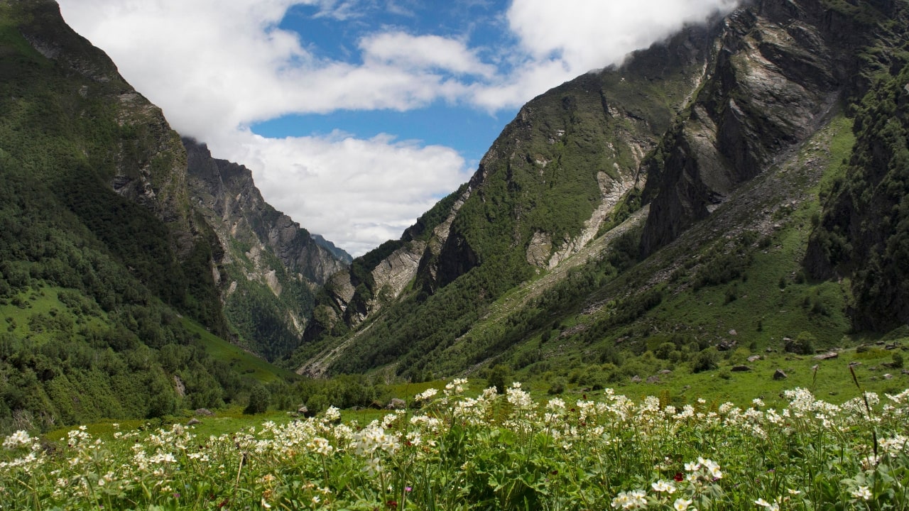 3. Valley of Flowers, Uttarakhand Imagine walking through an enchanting valley where thousands of wildflowers bloom in a riot of colors, set against snow-capped mountains. A UNESCO World Heritage site, the Valley of Flowers is a photographer's paradise, especially during the monsoon when the flowers are in full bloom. (Image: Canva)