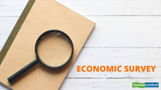 Other highlights from the Economic Survey