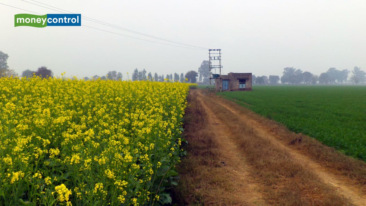 NACL acquisition will help Coromandel reduce dependence on regulated business