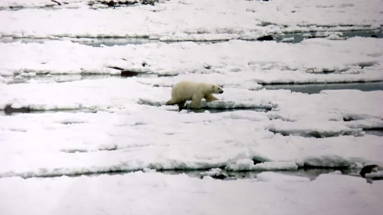6. Hudson Bay Area Location: Northeastern Canada The Hudson Bay Area in Canada stands out from the other places mentioned here. It has less gravity than you'd expect. This is because of the Laurentide Ice Sheet that covered the area during the Ice Age. This huge glacier changed how the Earth's mass was spread out. It created a gravity oddity that's still around today. (Image: Canva)
