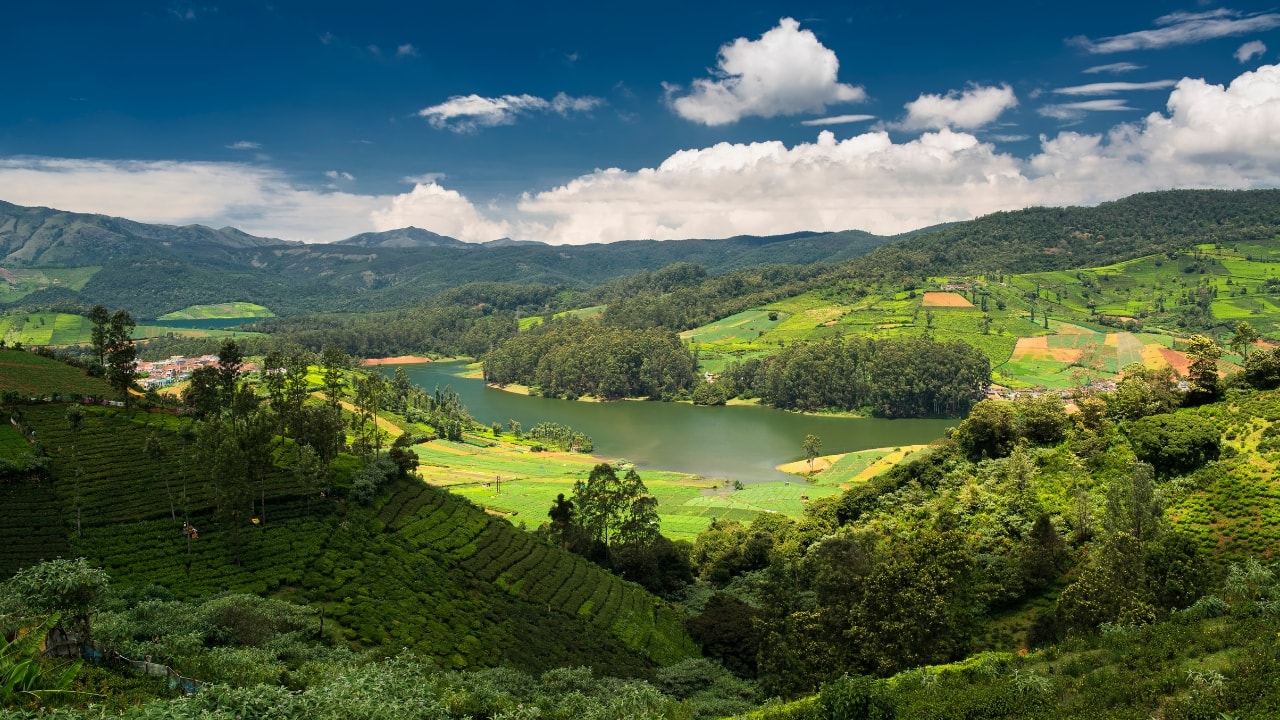 8. Ooty, Tamil Nadu February is the best time to visit Ooty, the Queen of Hill Stations. With cool, crisp air and misty mornings, Ooty offers a perfect escape into nature. Take scenic walks through the botanical gardens, enjoy a boat ride on Ooty Lake, or visit the picturesque tea gardens and Nilgiri Hills. The serene atmosphere makes Ooty the ideal place to unwind and rejuvenate. (Image: Canva)