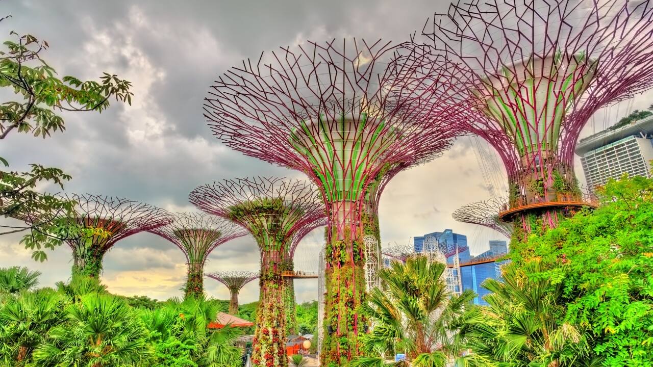 4. Singapore – A Green City with Fresh, Clean Air Yes, it’s a buzzing metropolis, but Singapore is also one of the cleanest and greenest cities in the world! With its well-maintained parks, lush gardens, and strict environmental policies, you’ll breathe easy while exploring this modern urban wonderland. Stroll through the Gardens by the Bay, hike up MacRitchie Reservoir, or unwind at the Singapore Botanic Gardens. (Image: Canva) Must-do: Walk along the OCBC Skyway for panoramic city views