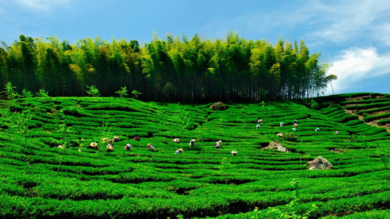 6. Nantou, Taiwan – A Peaceful Mountain Retreat Looking for fresh mountain air and total relaxation? Nantou, home to the breathtaking Sun Moon Lake, is an oasis of tranquil lakes, misty mountains, and crisp, clean air. Whether you’re cycling around the lake, sipping locally grown tea, or visiting stunning temples, Nantou is perfect for a slow, peaceful getaway. (Image: Canva) Must-do: Take a sunrise boat ride across Sun Moon Lake
