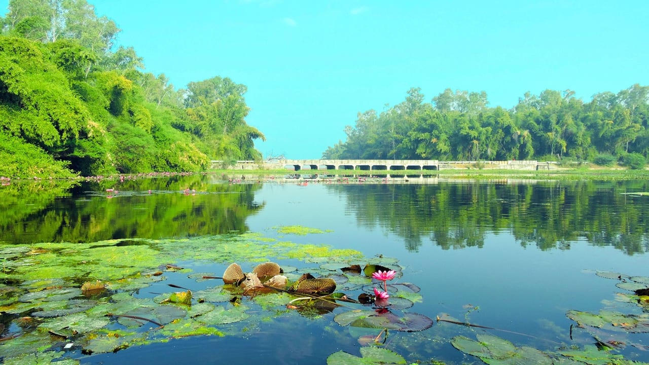 Gulawat Valley in Indore (Image: X/@mp_index)